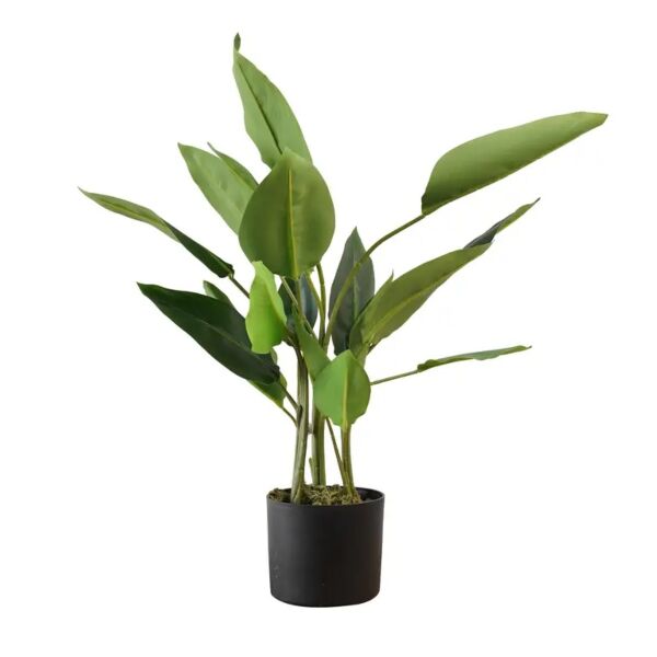 شجرة موز استرليزيا صناعية - 78 سم