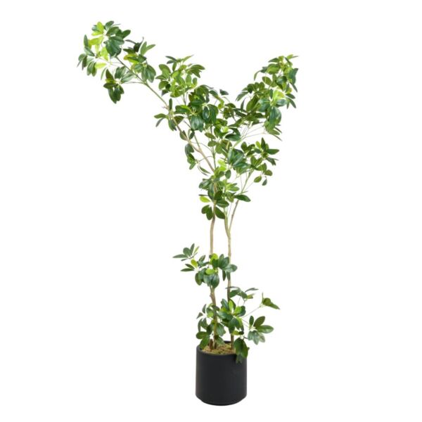 شجرة شفليرا صناعية - 160 سم