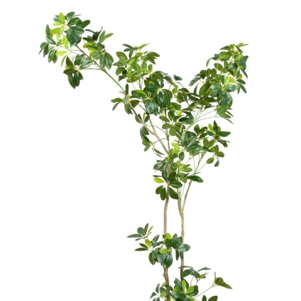 شجرة شفليرا صناعية - 160 سم