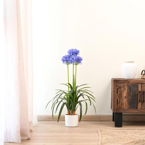 شجرة اجابنتوس صناعية - 80 سم