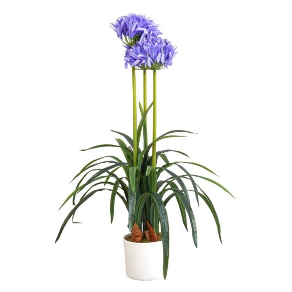 شجرة اجابنتوس صناعية - 80 سم