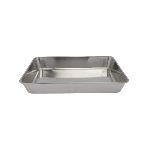 صينية ياباني سكوالو كاب 56 سم