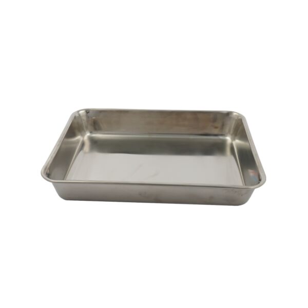 صينية ياباني سكوالو كاب 32 سم