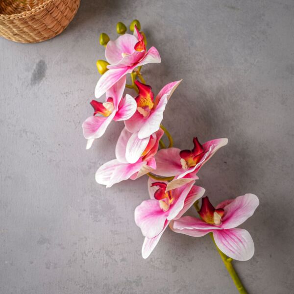 زهر صناعي لوسيا - متعدد الالوان - 12 قطعة