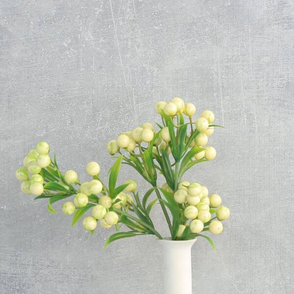 فرع نبتة توت بري