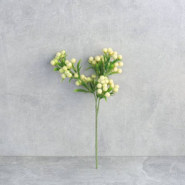 فرع نبتة توت بري