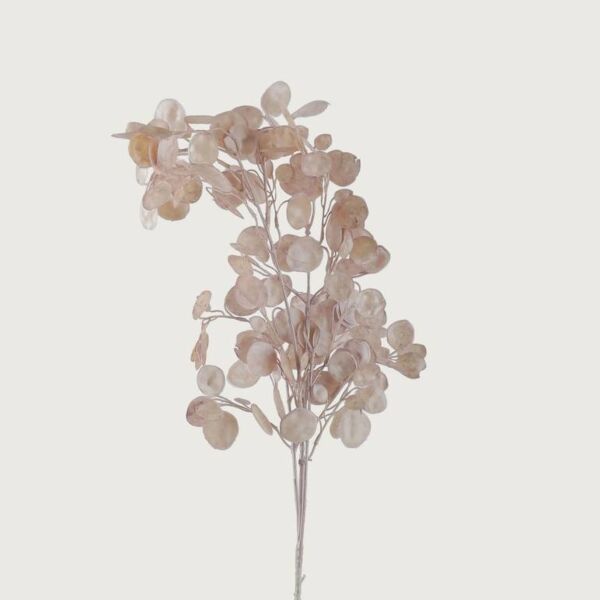 فرع أوراق الأوكالبتوس - وردي - 12 قطعة