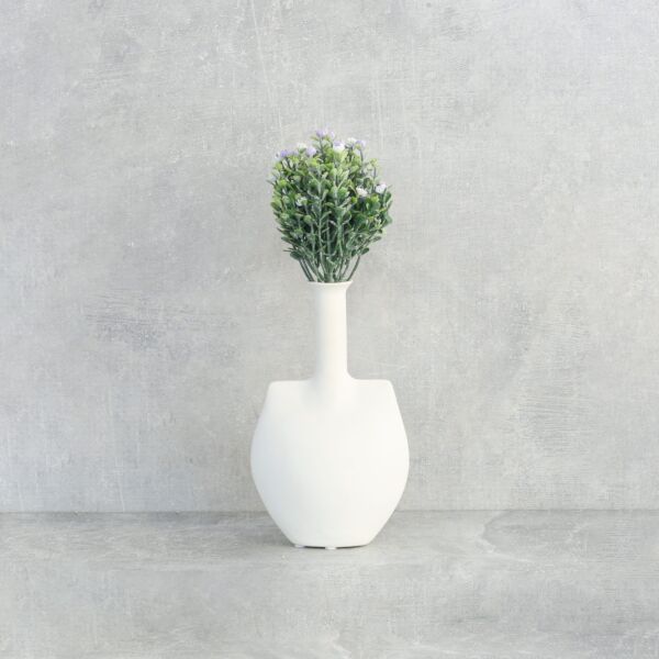 فرع نبتة كوفيا - 12 قطعة