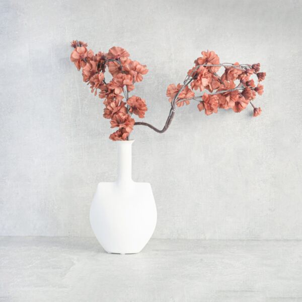 فرع زهور مانغوليا - بني محمر - 12 قطعة