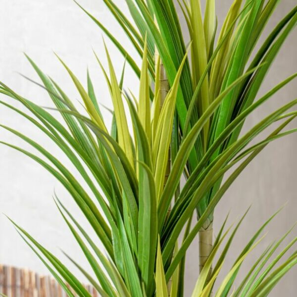 شجرة صناعية أرضية كوادرو  -  اخضر ومتعدد الالوان