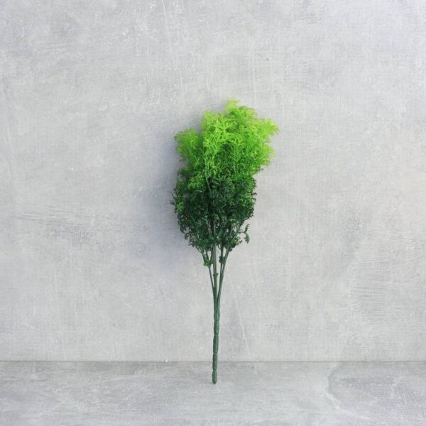 فرع نبتة صبار أم اللبن - 12 قطعة