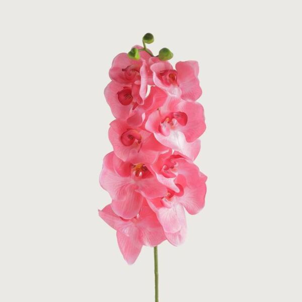 فرع زهرة أوركيد - 12 قطعة