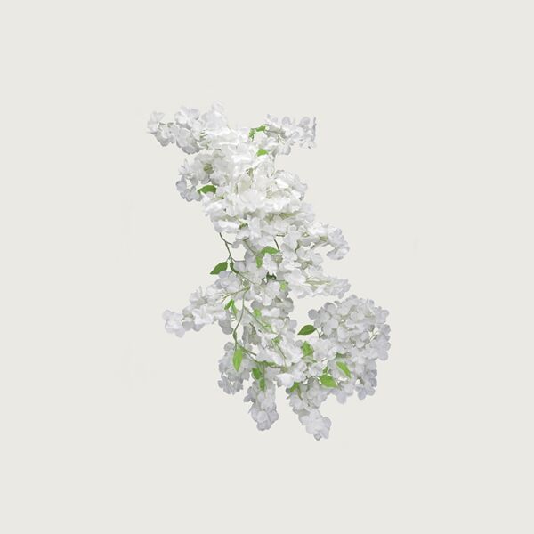 إكليل زهرة هيدرنجا ميري - ابيض - 12 قطعة