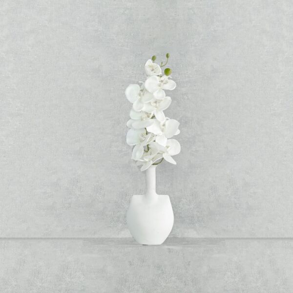 فرع زهرة اوركيد - سكري - 12 قطعة