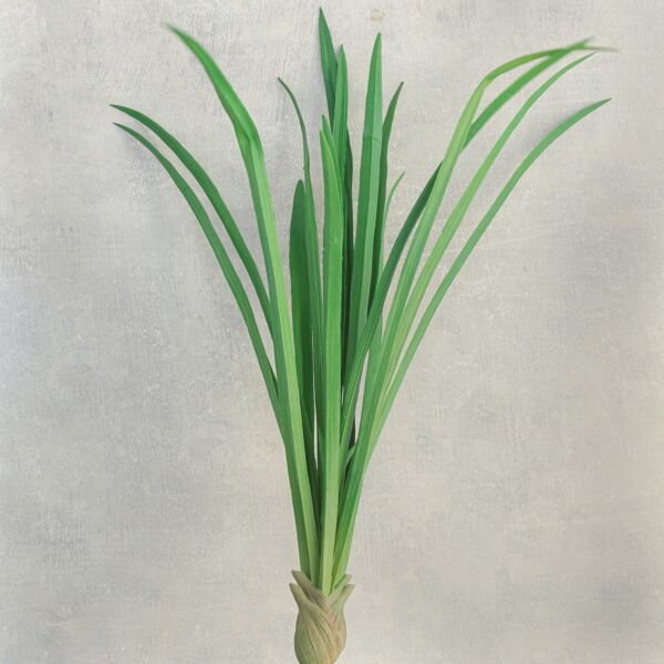 نبتة فاليسناريا صناعية - 12 قطعة