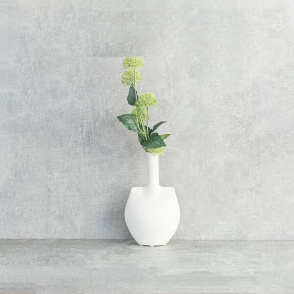 فرع نبتة العنق الزرقاء - اخضر