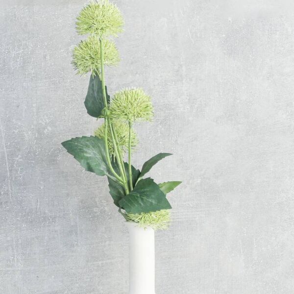 فرع نبتة العنق الزرقاء - اخضر