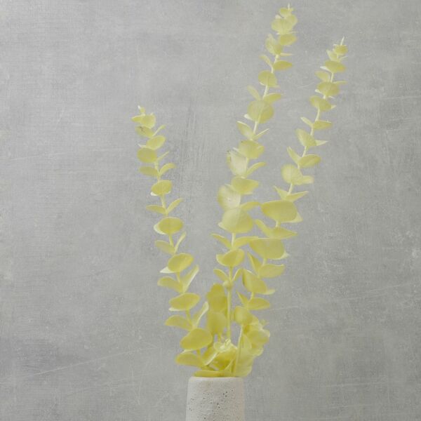 غصن صناعي كليبتوس - اصفر - 12 قطعة