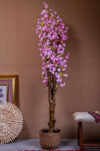 مركن زرع لاتولي- وردي وبني