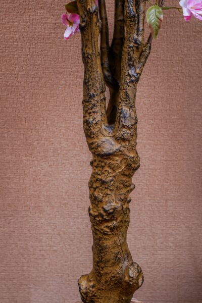 مركن زرع لاتولي- وردي وبني