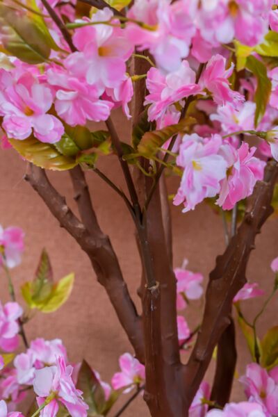 مركن زرع نوبر- وردي وبني