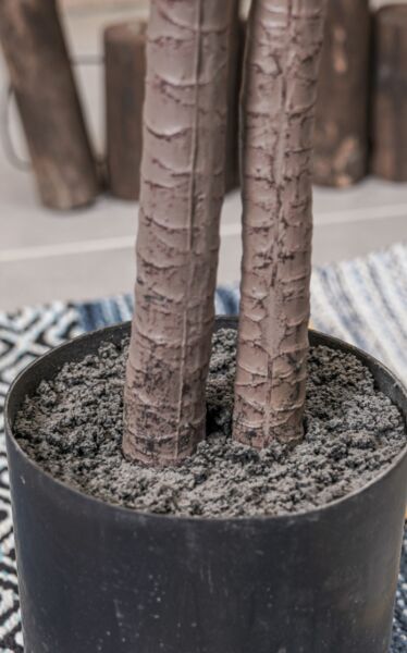 نبات صناعي موانا