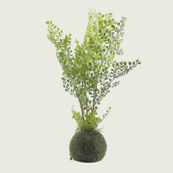 نبات صناعي كزبرة بكرة-اخضر     