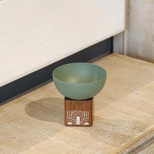 طبق تقديم دائري - اخضر