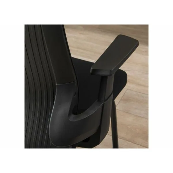 baytonia_gallery_image