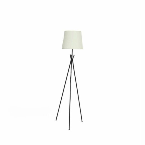 baytonia_main product photo