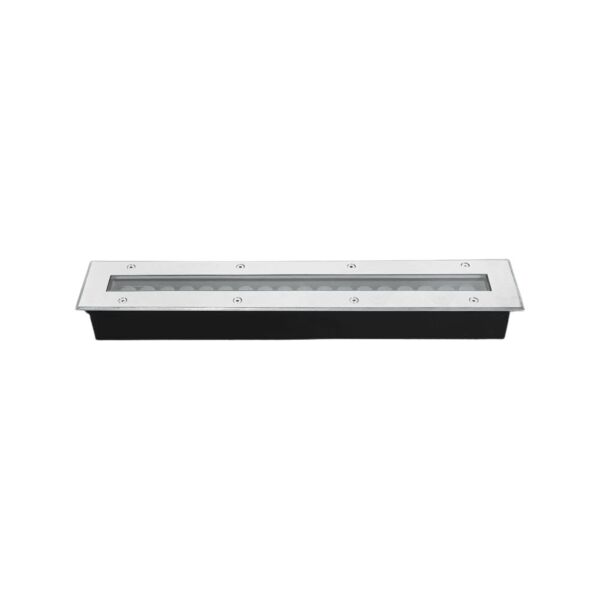 baytonia_main product photo