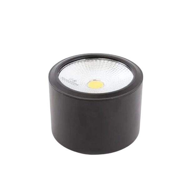 baytonia_main product photo