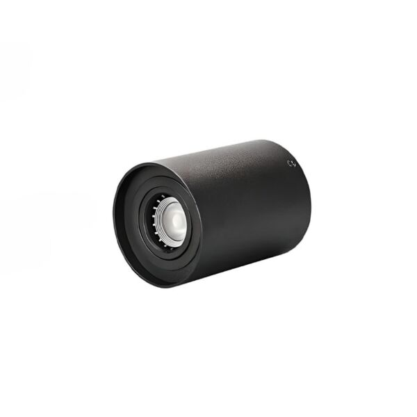 baytonia_main product photo