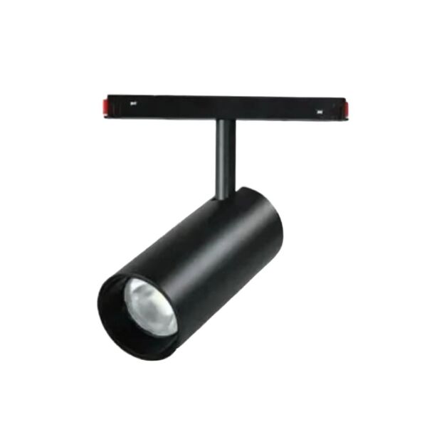 baytonia_main product photo