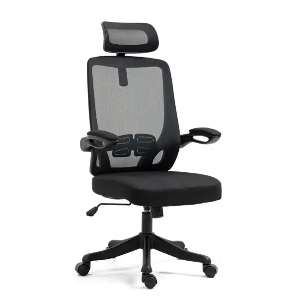 baytonia_gallery_image