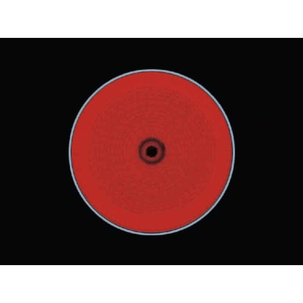 baytonia_gallery_image