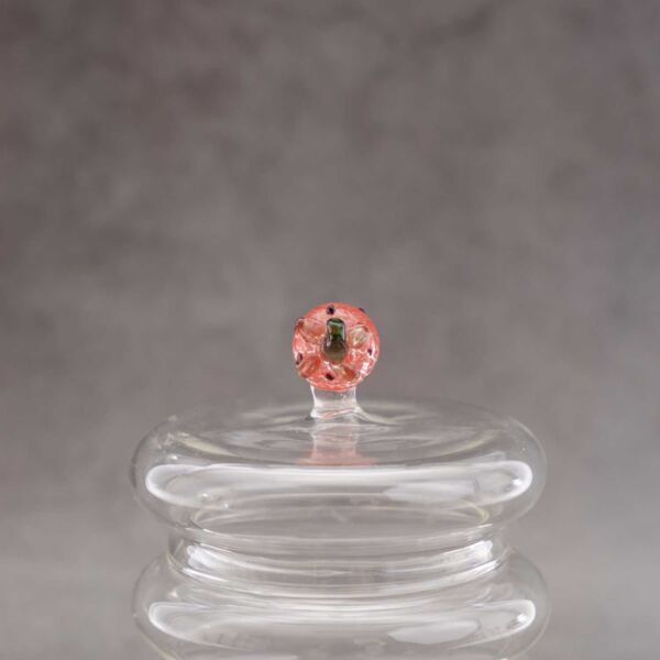 baytonia_gallery_image