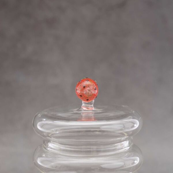 baytonia_gallery_image