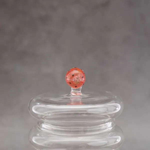 baytonia_gallery_image