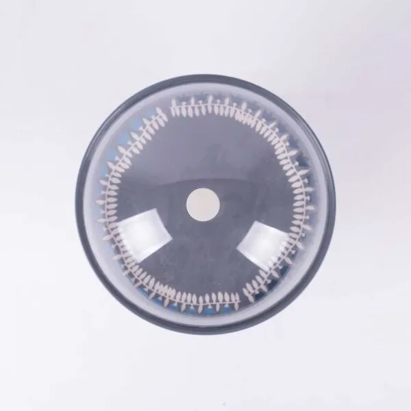 baytonia_gallery_image