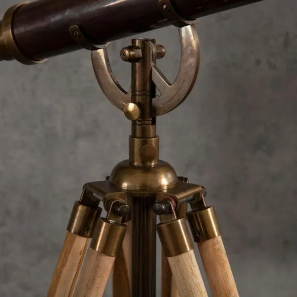 baytonia_gallery_image