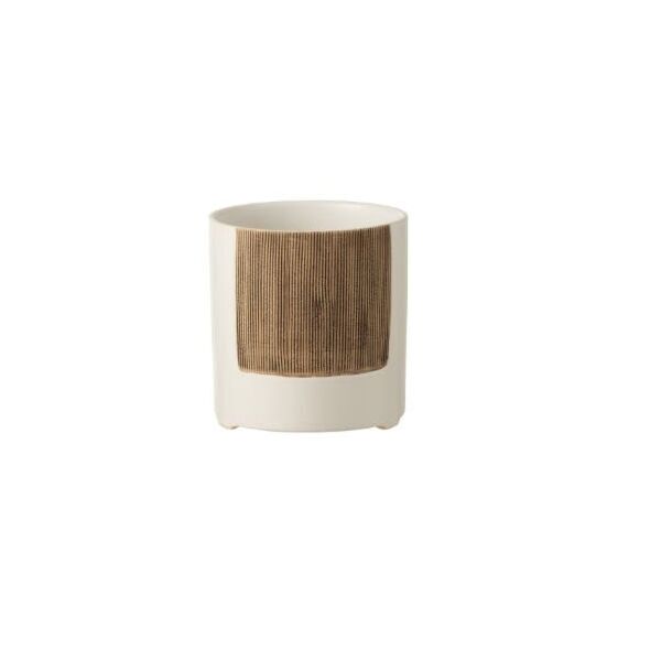 baytonia_main product photo
