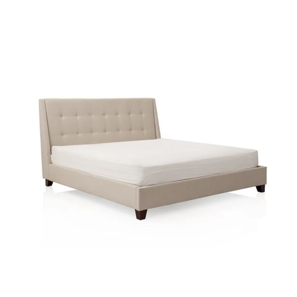 baytonia_gallery_image