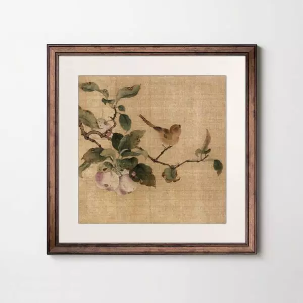 baytonia_gallery_image