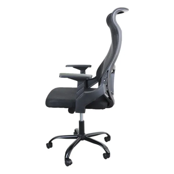 baytonia_gallery_image