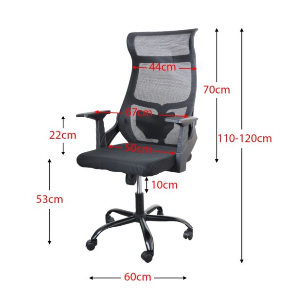 baytonia_gallery_image