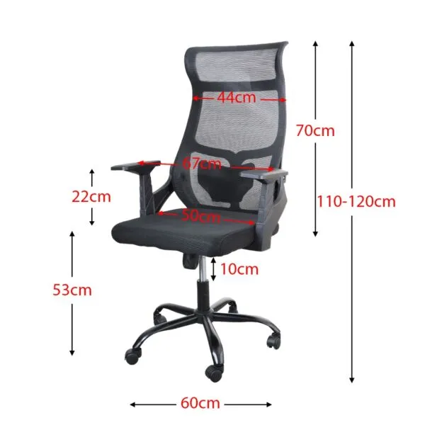 baytonia_gallery_image