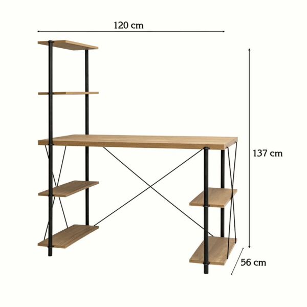 baytonia_gallery_image