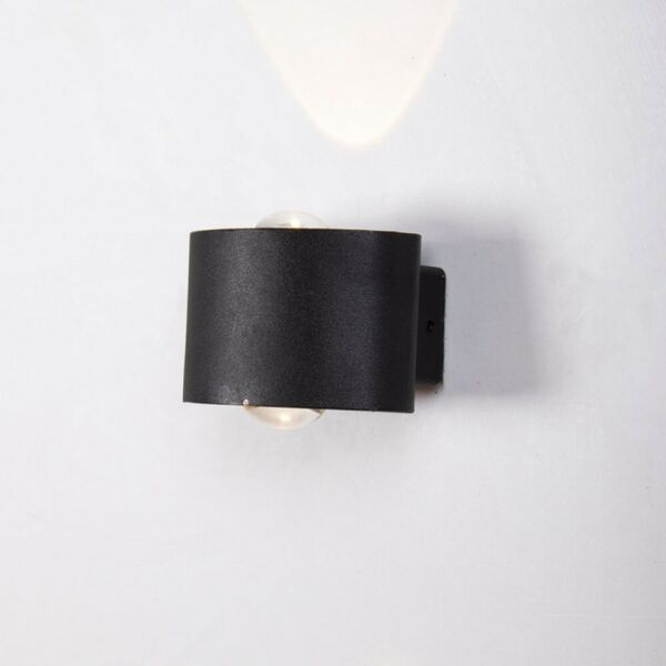 baytonia_main product photo