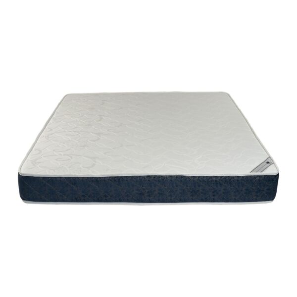 baytonia_main product photo